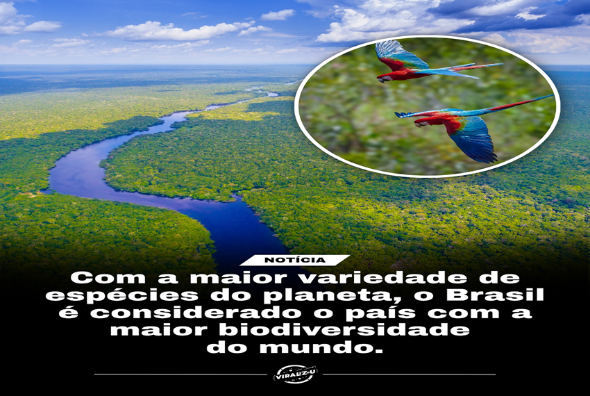 BIODIVERSIDADE