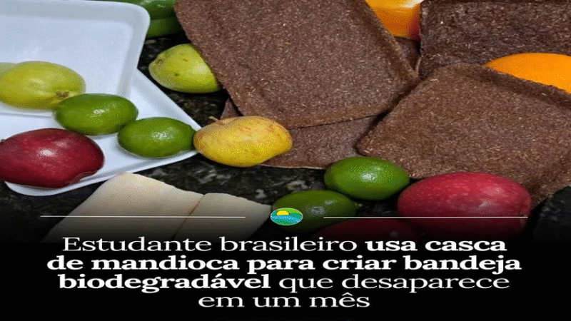 ECONOMIA ECOLÓGICA