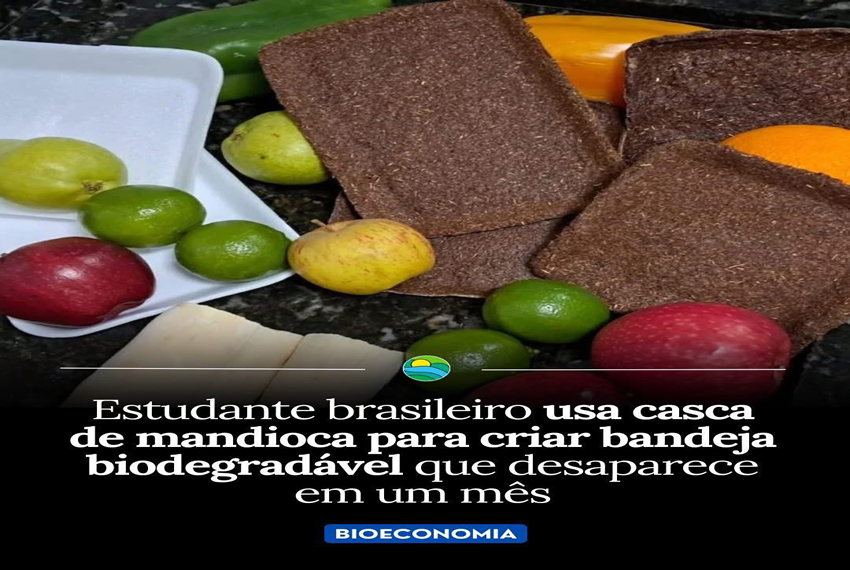 ECONOMIA ECOLÓGICA