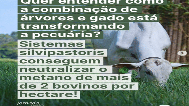 SILVIPASTORIS: Mais animais por hectare, neutralização do metano, sequestro de carbono e bem-estar animal.