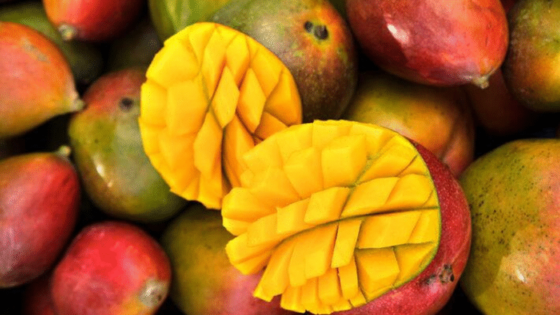 ALIMENTOS SUJEITOS AO TARIFAÇO