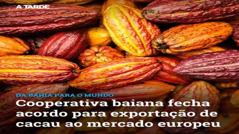 COOPERATIVA