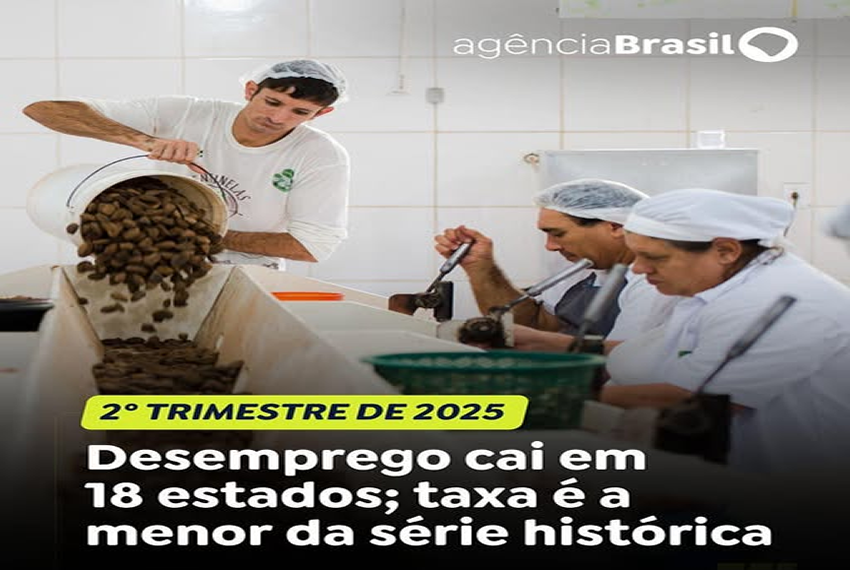 TAXA DE DESOCUPAÇÃO