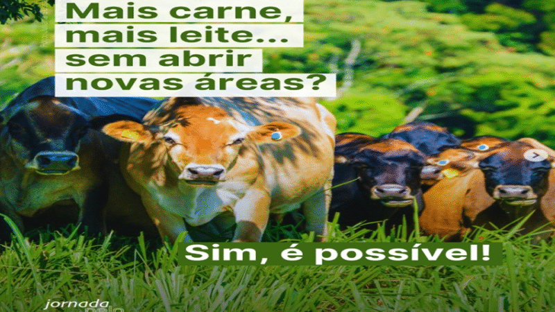 MAIS CARNE: Transformar a pecuária sem abrir novas áreas?