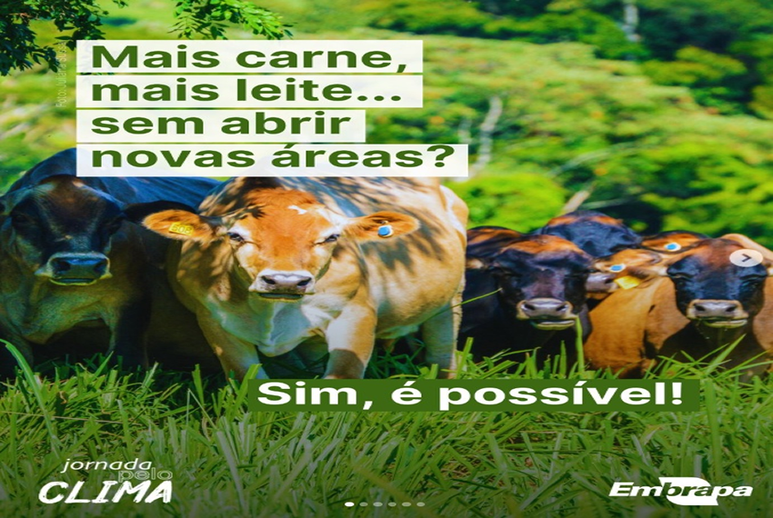 MAIS CARNE: Transformar a pecuária sem abrir novas áreas?