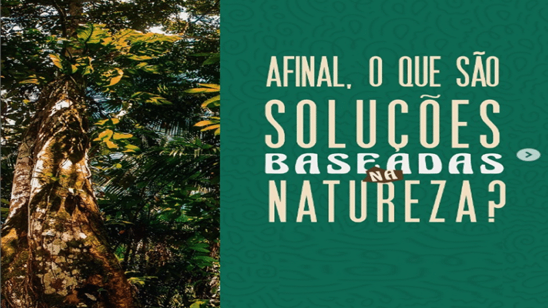 NATUREZA: ð³ Você já ouviu falar em Soluções Baseadas na Natureza (SbN)?
