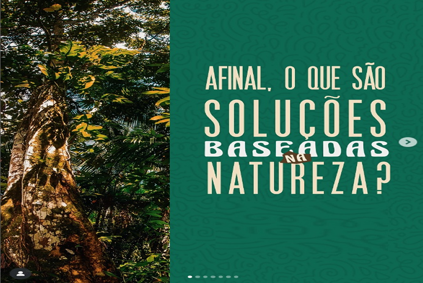 NATUREZA: ð³ Você já ouviu falar em Soluções Baseadas na Natureza (SbN)?