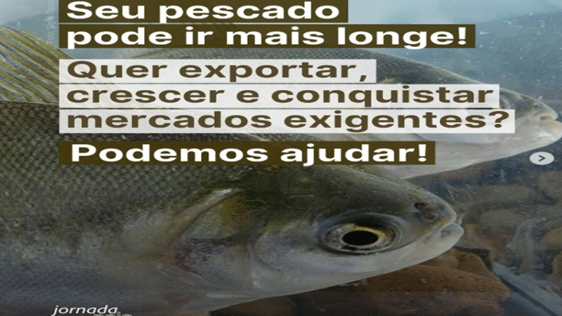 PESCADO: Seu pescado pode ir mais longe!