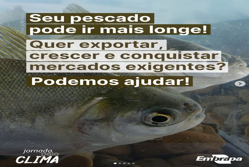 PESCADO: Seu pescado pode ir mais longe!