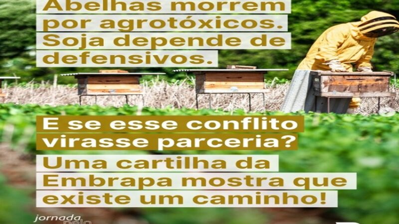 ABELHAS