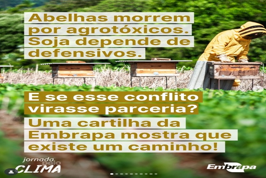ABELHAS