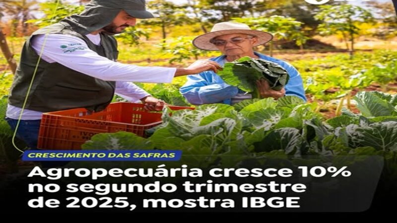 AGROPECUÁRIA