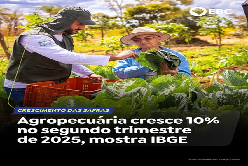 AGROPECUÁRIA