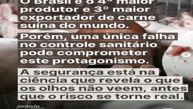 CARNE SUÍNA BRASILEIRA