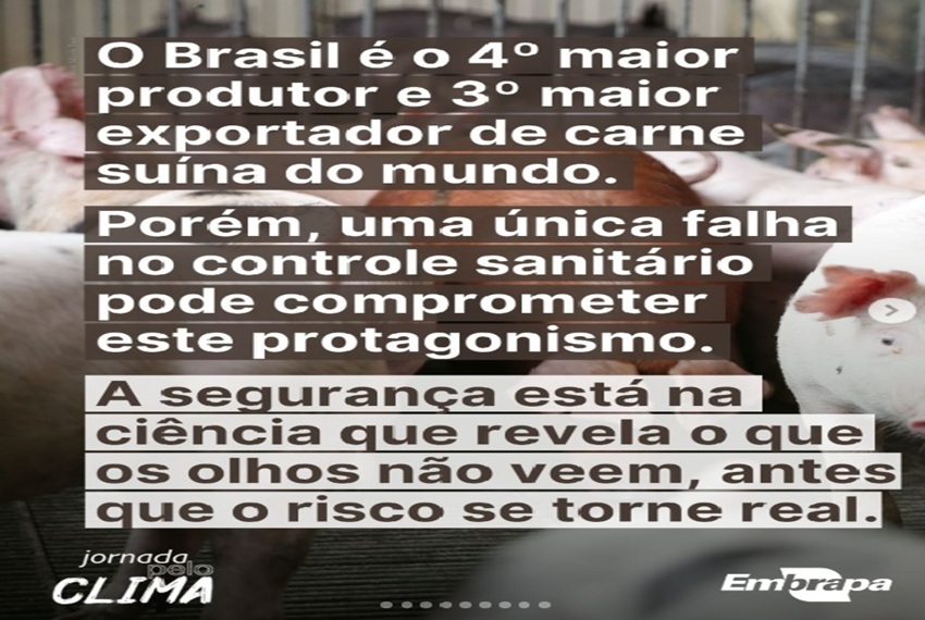 CARNE SUÍNA BRASILEIRA