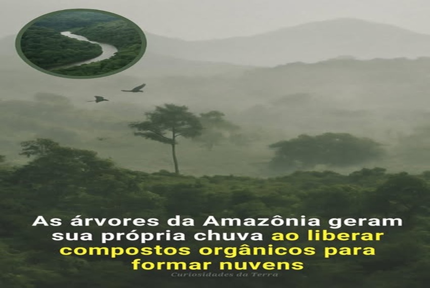 RIOS VOADORES