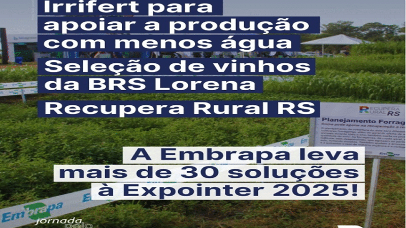 SELEÇÃO DE VINHOS