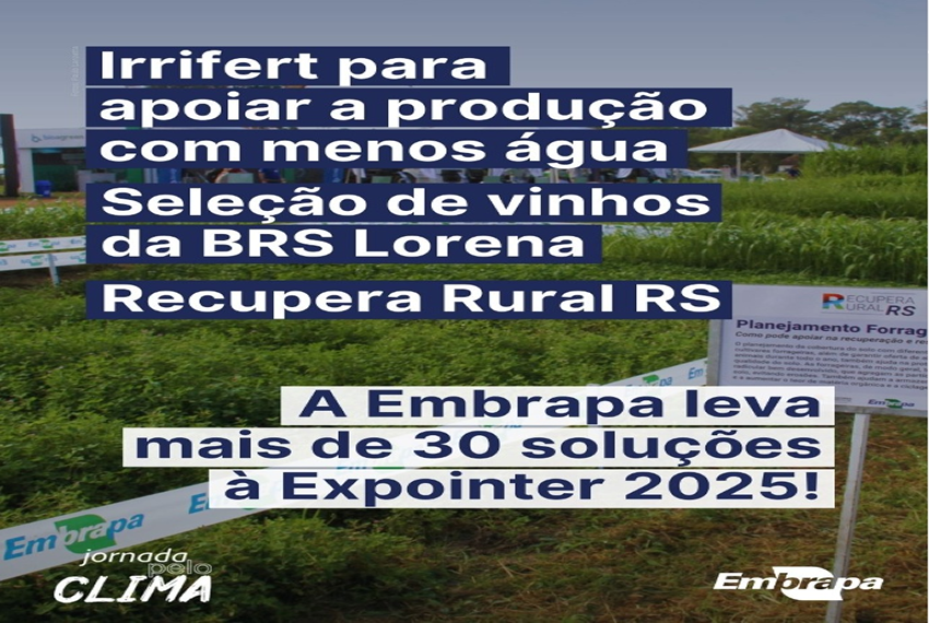 SELEÇÃO DE VINHOS