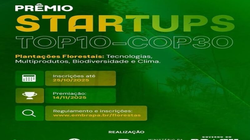 STARTUPS