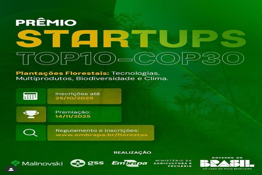 STARTUPS