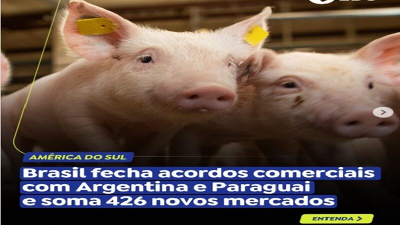 NOVOS MERCADOS