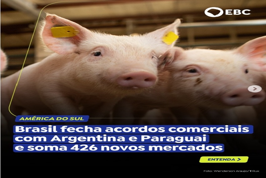 NOVOS MERCADOS