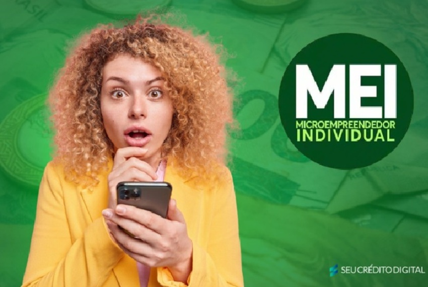 MEI IMPULSIONA A ECONOMIA