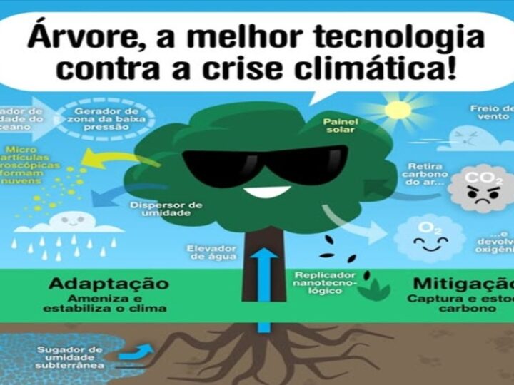 ÁRVORE: MELHOR TECNOLOGIA