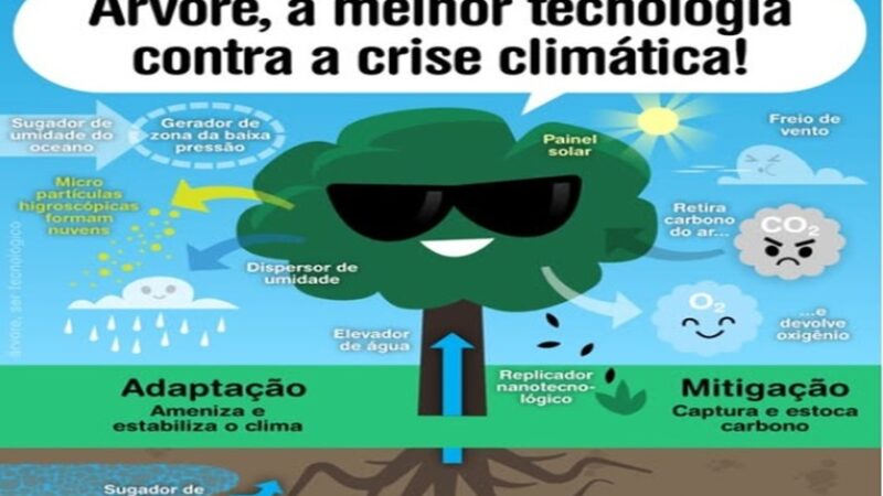 ÁRVORE: MELHOR TECNOLOGIA
