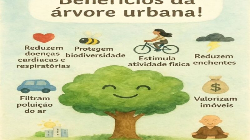 ARVORE:ð³ Por que plantar e cuidar de árvores urbanas é tão importante?