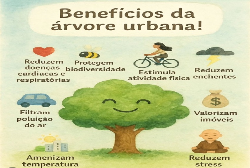 ARVORE:ð³ Por que plantar e cuidar de árvores urbanas é tão importante?