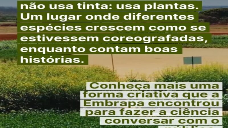 DESENHO: Para a Embrapa, tão importante quanto desenvolver soluções tecnológicas é apresentá-las à sociedade.