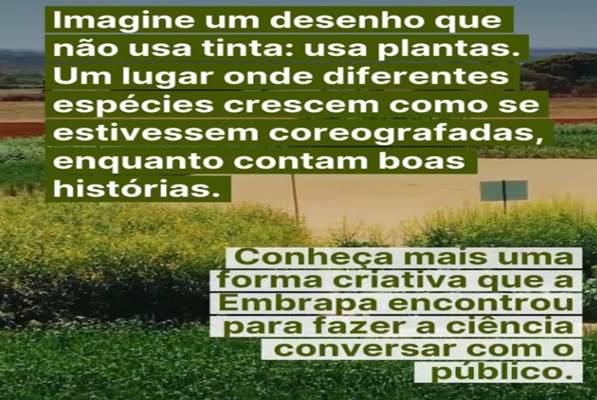 DESENHO: Para a Embrapa, tão importante quanto desenvolver soluções tecnológicas é apresentá-las à sociedade.