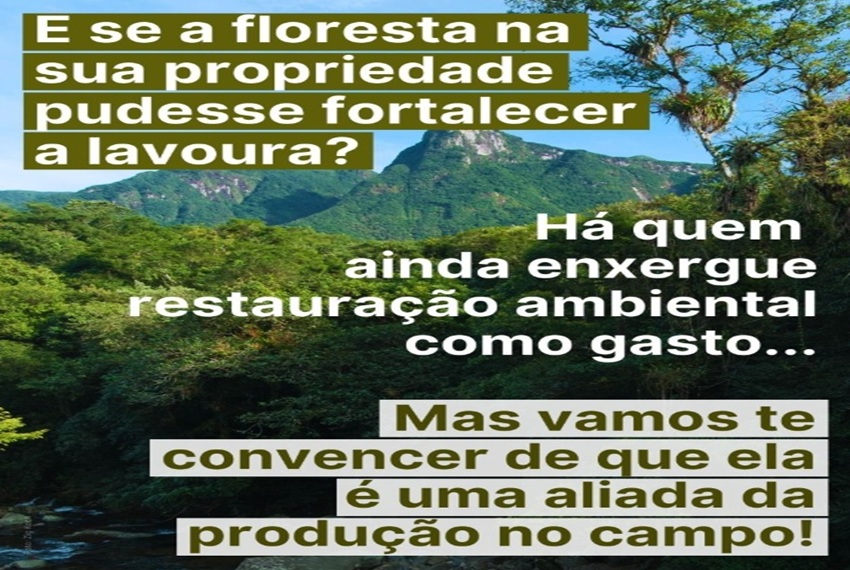 E SE: E por que a restauração da Mata Atlântica importa para a sua produção?