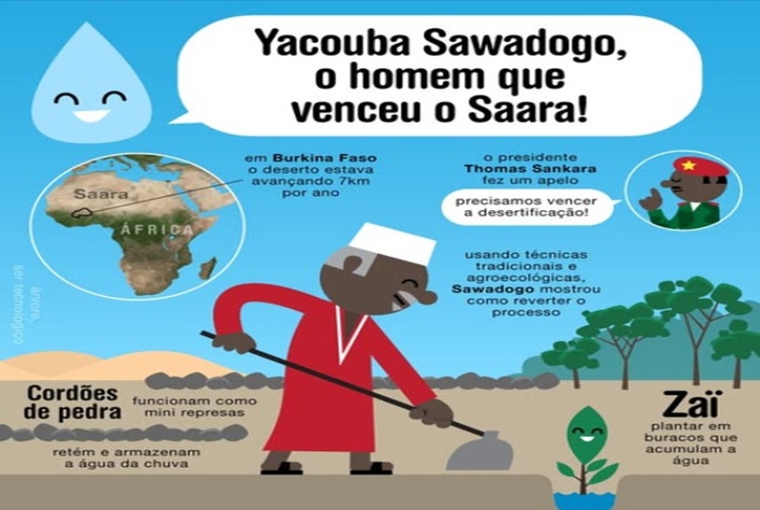 Yacouba Sawadogo, um agricultor tradicional do Sahel, em Burkina Faso, ficou conhecido como o “homem que venceu o deserto”.