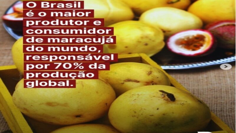 MARACUJÁ: O maracujá pode ser muito mais do que um suco refrescante!