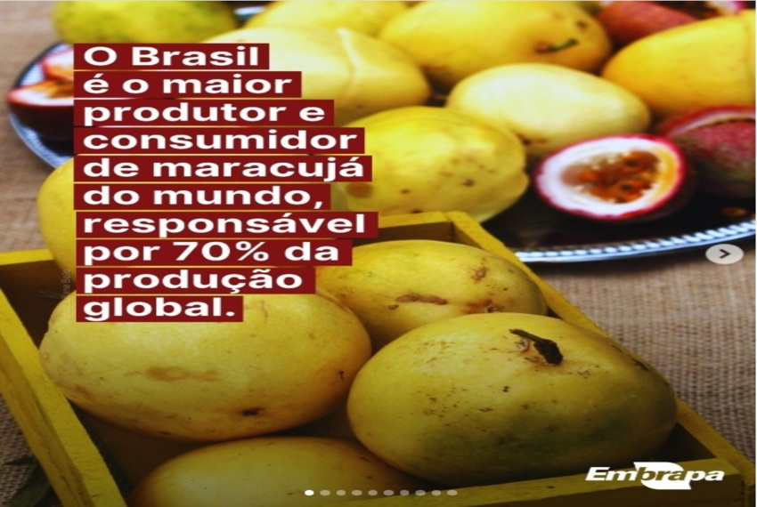 MARACUJÁ: O maracujá pode ser muito mais do que um suco refrescante!