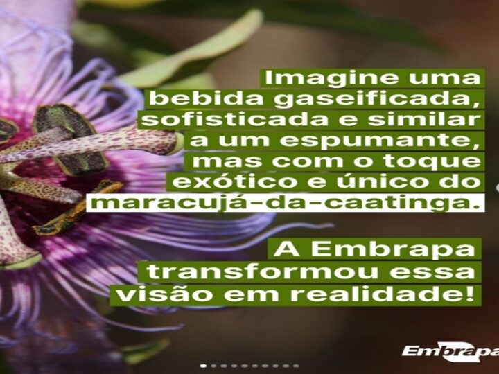 MARACUJÁ: Imagine o sabor único do coração da Caatinga em uma experiência sofisticada.