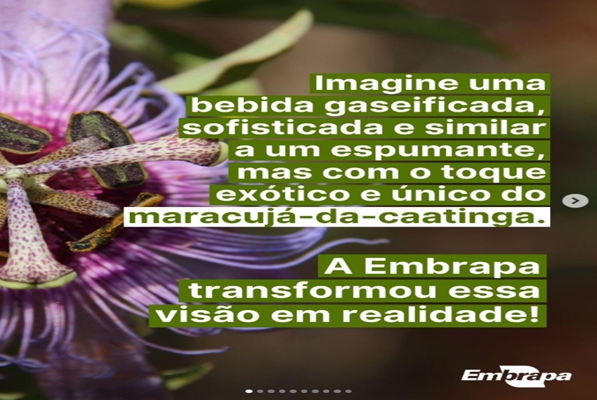 MARACUJÁ: Imagine o sabor único do coração da Caatinga em uma experiência sofisticada.