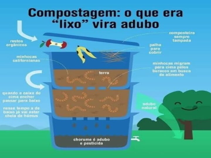 COMPOSTAGEM: Projeto Semeando e Projeto de Educação Ambiental