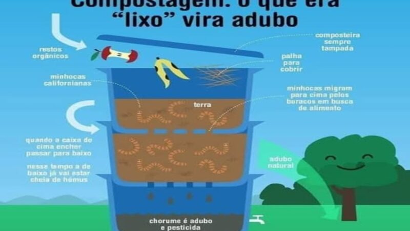 COMPOSTAGEM: Projeto Semeando e Projeto de Educação Ambiental