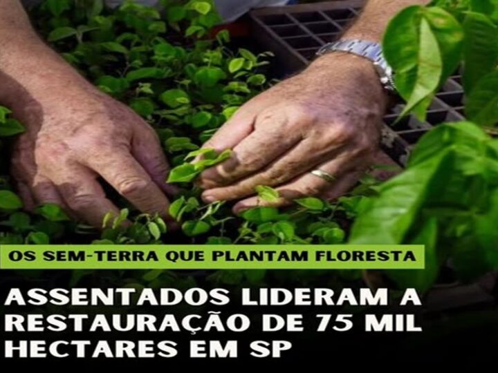 ð³ DA LONA AO VIVEIRO