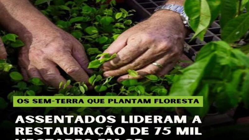 ð³ DA LONA AO VIVEIRO