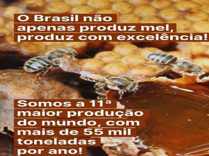 O mel é valorizado pela humanidade desde a pré-história — e em algumas civilizações chegou a valer ouro.