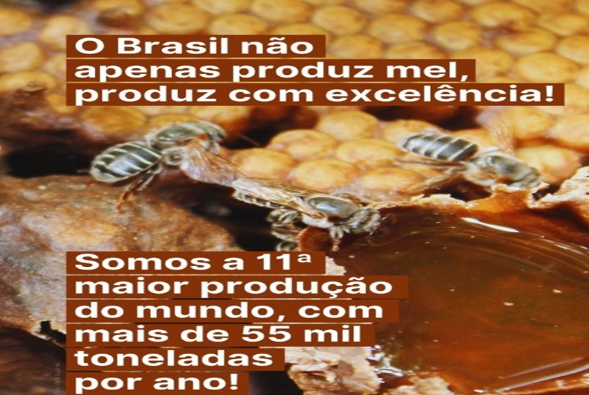 O mel é valorizado pela humanidade desde a pré-história — e em algumas civilizações chegou a valer ouro.