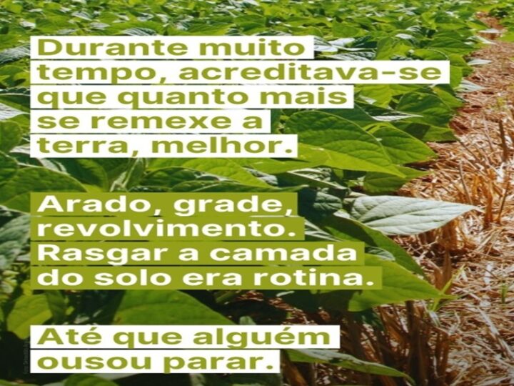 O SOLO: Ana Primavesi e Herbert Bartz estão entre os nomes que transformaram a relação do Brasil com o solo.