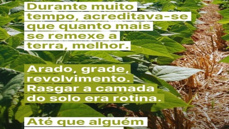 O SOLO: Ana Primavesi e Herbert Bartz estão entre os nomes que transformaram a relação do Brasil com o solo.