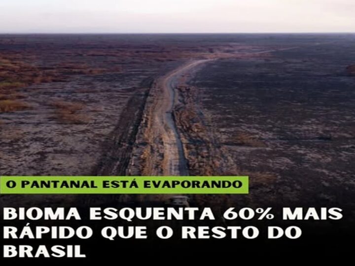 PANTANAL: ð A MAIOR PLANÍCIE ALAGÁVEL ESTÁ SECANDO