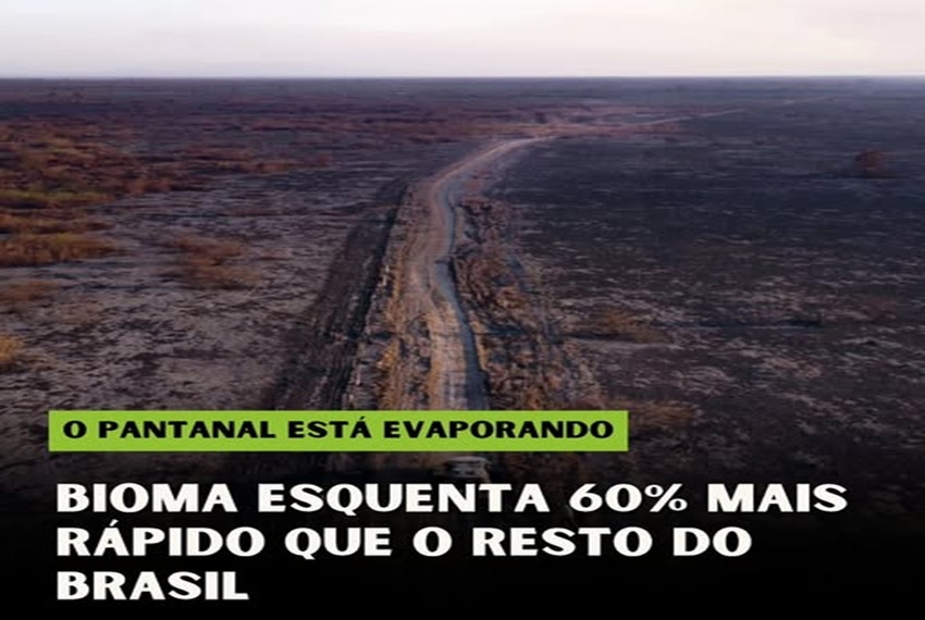 PANTANAL: ð A MAIOR PLANÍCIE ALAGÁVEL ESTÁ SECANDO