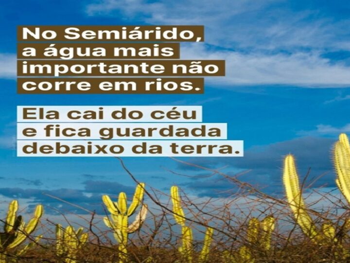 SEMIÁRIDO